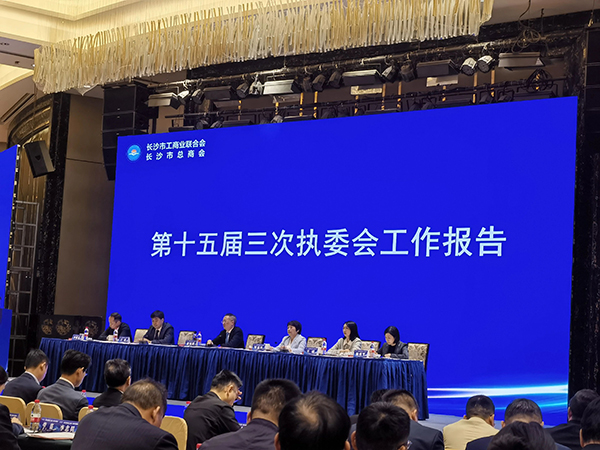 顶立科技被市工商联授予“光彩事业先进民营企业”称号 (3).jpg 顶立科技被市工商联授予“光彩事业先进民营企业”称号 (3).jpg