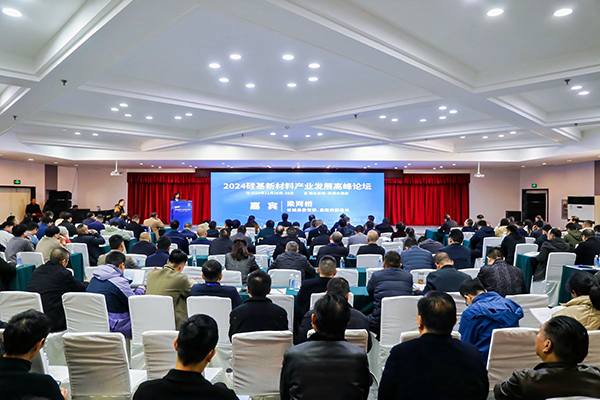 顶立科技参加硅基新材料高峰论坛,分享高纯石英制备热工装备最新技术 (2).jpg 顶立科技参加硅基新材料高峰论坛,分享高纯石英制备热工装备最新技术 (2).jpg